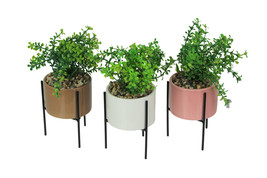 Set of 3 Artificial Potted Succulent Plants with Ceramic Planters And Metal - $39.59