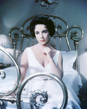 Cat On a Hot Tin Roof Elizabeth Taylor 16x20 Canvas Giclee - $69.99