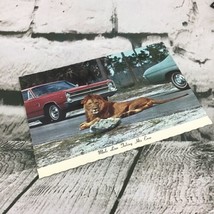 Vintage Postcard Lion Country Safari Florida Animal Car Photo Collectible Travel - £3.88 GBP
