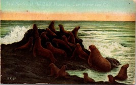 San Francisco California Sea Lions Rocks Cliff House Unposted 1907-1915 Postcard - £11.05 GBP