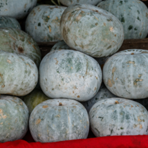 Wax Gourd White Ash Gourd Winter Melon Dong Gua 100 PCS Seeds - $9.71