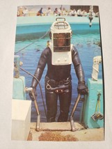 Vintage Postcard - Marineland Diver Exiting the Oval Tank 1960s - S. Crocker Co. - £14.86 GBP