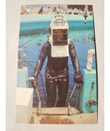 Vintage Postcard - Marineland Diver Exiting the Oval Tank 1960s - S. Cro... - £14.85 GBP