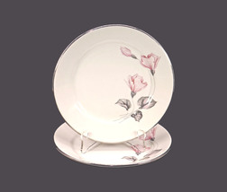 Pair of Anfora dessert plates. Pink roses, gray leaves. Made in Mexico. - £39.32 GBP
