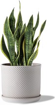 8 Inch Plant Pots : Ceramic Planter Pot With Drainage Hole &amp; Saucer - Fl... - £47.18 GBP