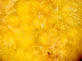 PARSONSITE - Uranium Bearing Phosphate - Lachaux, FRANCE - $2,252.52 MXN