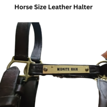 Leather Horse Size Halter Midnite High Brass Plate USED image 5