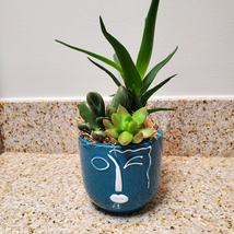 Succulent Arrangement in Blue Face Planter, Indoor House Plant Pot, 4" Ceramic
