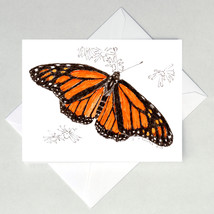 Monarch Butterfly Note Cards - £3.20 GBP+