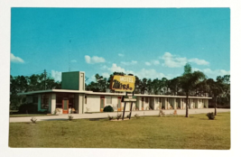 Mars Motel Street View Palm Trees Sebring FL Dexter Press UNP Postcard c... - $7.99