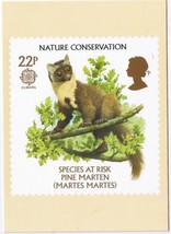 United Kingdom Postcard Stamps Nature Species At Risk 1986 22p Pine Marten - $2.96