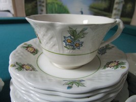 Royal Cauldon Bristol Ironstone :&quot;June Garden&quot; Tea Set Trios 15 Pcs Rare - £116.37 GBP