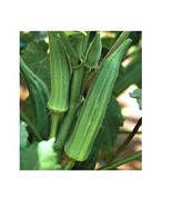 PSA Tomato Seeds Brandywine Set Black Red Orange Pink Organic Fast Grow - €14,30 EUR