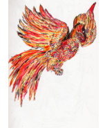 The Magic Bird - Black Line Edition  - $17.00+