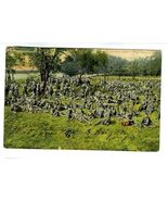 Life in Our Army Royal Scots at Rest Postcard 1906 - $11.88