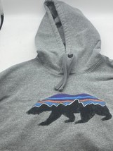 Patagonia Hoody Grey Size Fits Roy Bear Large - £31.44 GBP