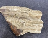 1.14 lbs 5 1/2” Petrified Wood Log, Estate Find Fossilized Tree. Fossil - $11.88