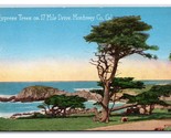 Lone Cypress Midway Point 17 Mile Drive Monterey CA 1926 DB Postcard W5 - $2.92