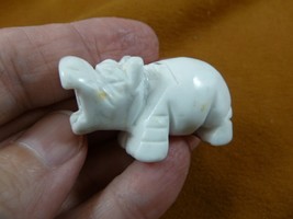 (Y-HIP-578) little white HIPPO Hippopotamus Gemstone carving figurine ge... - £11.07 GBP