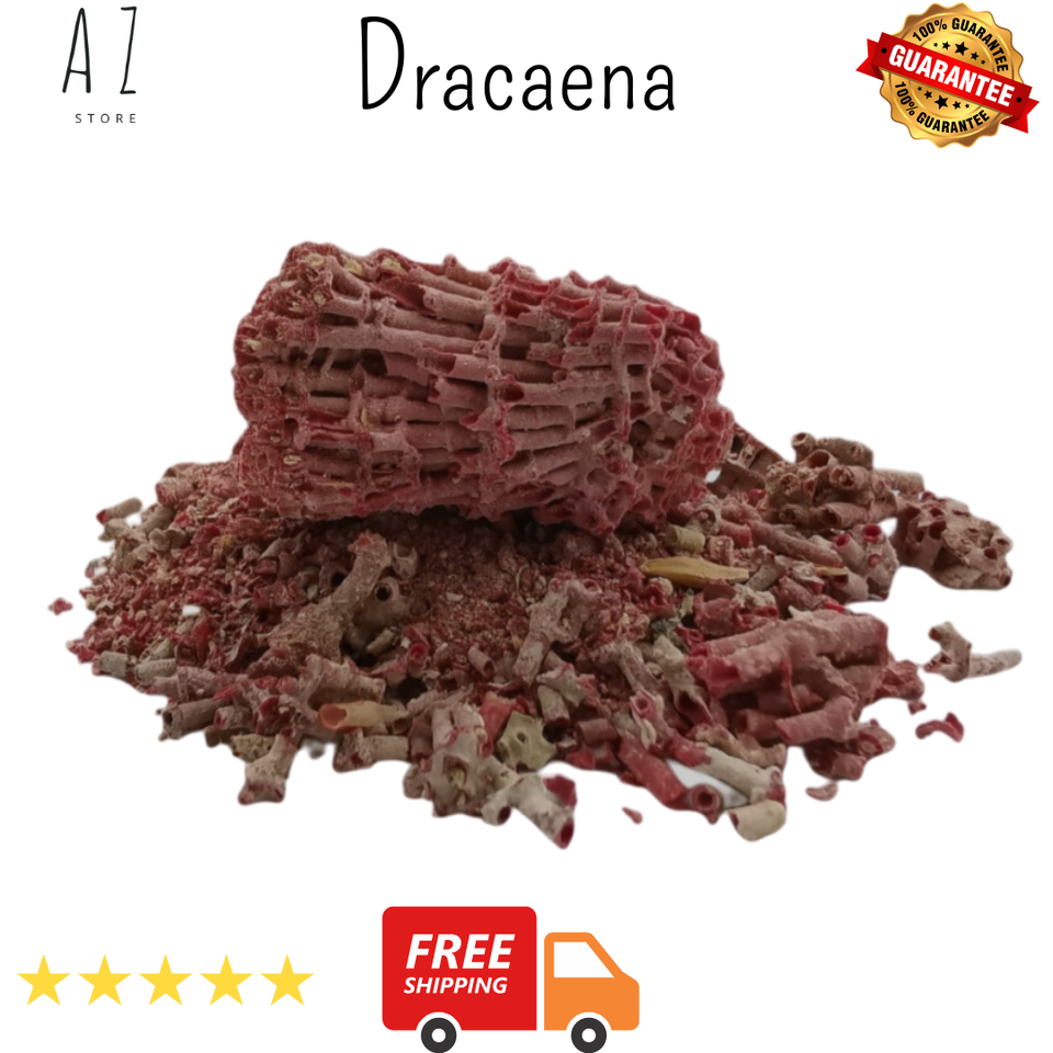 100 grams Organic DRIED Dracaena cinnabar عشبة دم الاخوين - $25.64