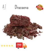 100 grams Organic DRIED Dracaena cinnabar عشبة دم الاخوين - $470.34 MXN