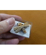 ann-drag-9) little tan DRAGONFLY gemstone figurine PENDANT necklace Feti... - $184.93 MXN