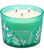 Eucalyptus Pine Clove Woods 3-Wick Soy Candle, 14.5 oz Aromatherapy Blend - $439.09 MXN