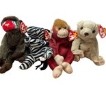 Lot Of 4 Ty Beanie Babies Plush Zoo Animals Almond Schweetheart Ziggy Ch... - $22.13