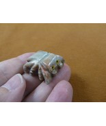 Y-SPI-21) little tan red TARANTULA spider gem stone figurine SOAPSTONE s... - €7,69 EUR