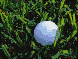 Pepita Needlepoint Canvas: Golf Ball, 12&quot; x 9&quot; - £68.67 GBP+