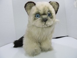 Vtg Applause Avanti Plush Himalayan kitten  Stuffed Animal lifelike Real... - £22.03 GBP