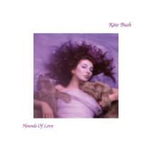 Kate Bush - Hounds Of Love (Vinyl LP 2023, Reissue, Remastered, 180g  FP5LP) - $55.30