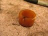 KICK START SHAFT PLASTIC SPACER 1985 85 HONDA TRX250 TRX 250  - $7.92