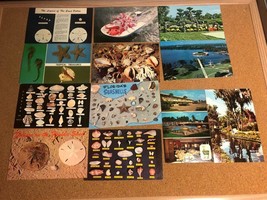 Vintage Post Card Lot Miami Florida State Nature Shells Tourist Art trav... - £3.83 GBP