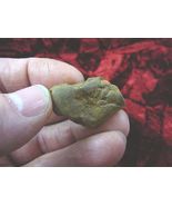 (PP450-1) 1" Genuine Fossil TURTLE POOP Coprolite DUNG WEIRD WA state sc... - $10.99