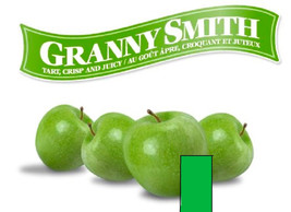 16-20&quot; tall Granny Smith Apple tree, grafted, dormant, roots wrapped in wet - $35.00