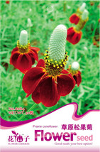 1 Original Pack 30 Seeds Pack Ratibida Coneflower Mexican Hat Columnifera Midget - £5.40 GBP