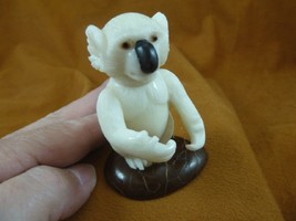 (TNE-BEA-KO-763A) little KOALA BEAR TAGUA NUT Figurine Carving Vegetable... - £22.55 GBP
