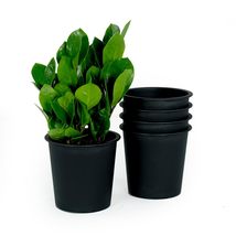 Catleza 6.3&quot; Round Nursery Plant Pot - Garden Plastic Pots with Drainage... - £17.37 GBP