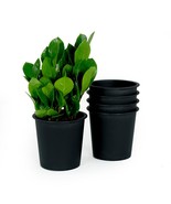 Catleza 6.3&quot; Round Nursery Plant Pot - Garden Plastic Pots with Drainage... - $21.73