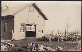 Otis Oakes Sheep Farm, Sandy River Plantation, Maine RPPC Real Photo Postcard - £12.66 GBP