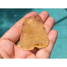 Druzy Tampa Bay Fossil Coral - Fossilized Coral Agate 50x36mm Cabochon for Jewel - £84.48 GBP