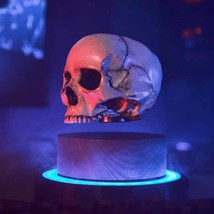 Floating Skull 3D Magnetic Magic Float - £197.38 GBP