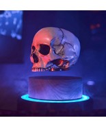 Floating Skull 3D Magnetic Magic Float - £199.90 GBP