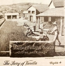 Burnett Vanilla Extract 1899 Advertisement Victorian Food Products DWNN13 - $24.99
