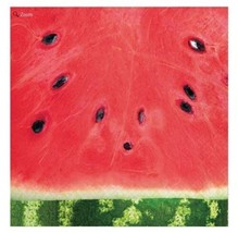 Farm Fresh Watermelon 16 Ct Luncheon Napkins 2 Ply Paper - £3.80 GBP