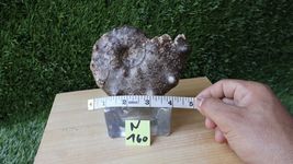 Item image 15