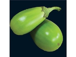 Applegreen Eggplant Green Fruit / Vegetable Solanum Melongena  25 Seeds US Selle - £7.47 GBP