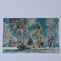 Postcard Winter Scenic View Chrome Posted 1985 - £6.33 GBP