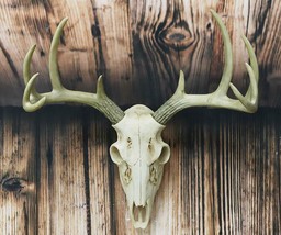 Rustic Hunter Rack Deer Skull Antler Wall Plaque Decor 10 Point Buck Figurine - £37.35 GBP